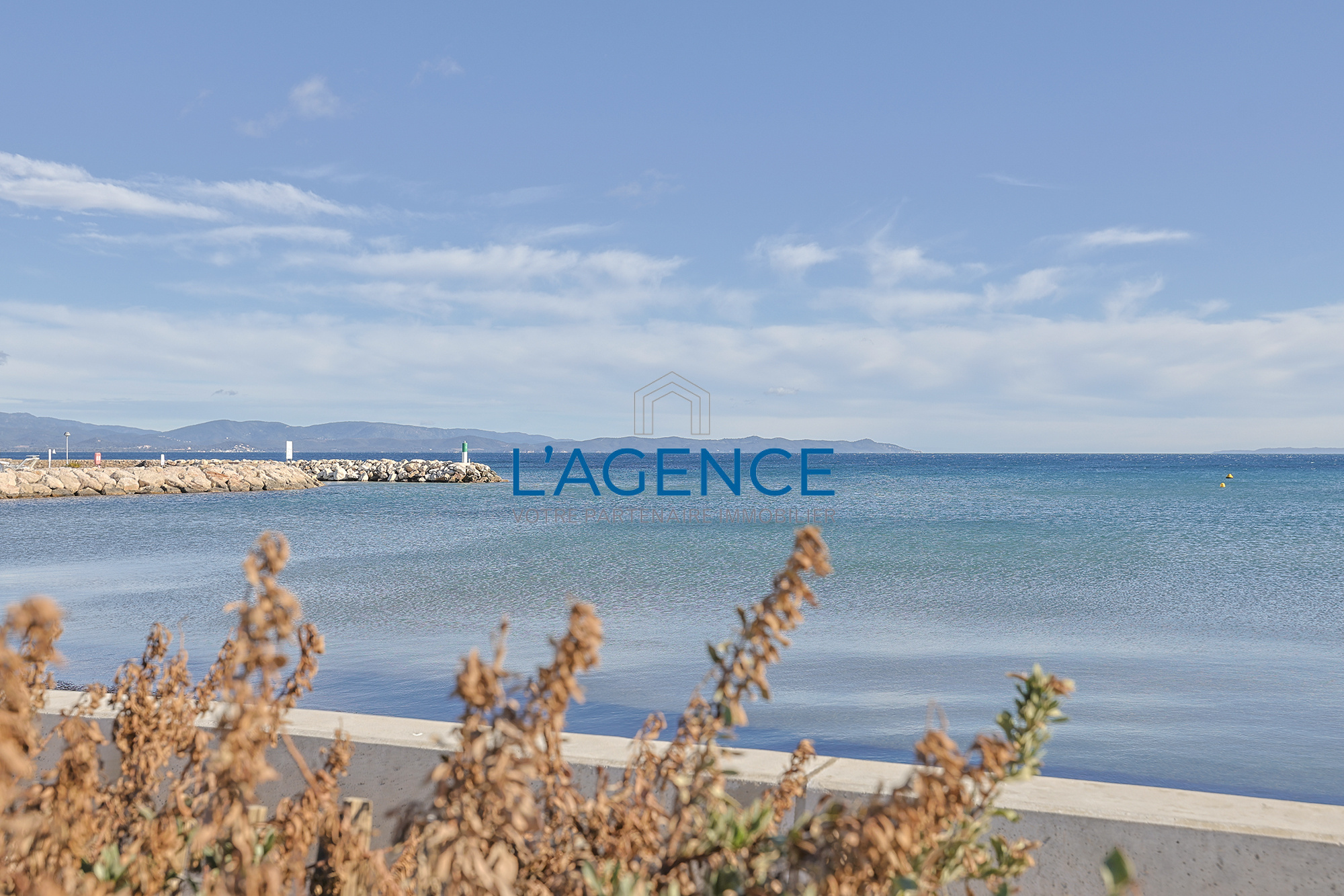 Agence immobilière de L'Agence